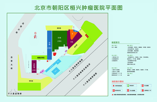 大操逼操逼的小北京市朝阳区桓兴肿瘤医院平面图